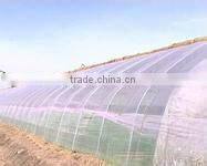 ldpe agriculture greenhouse/mulch film