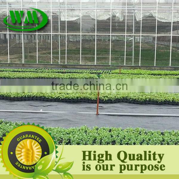 black and green line pe weedmat