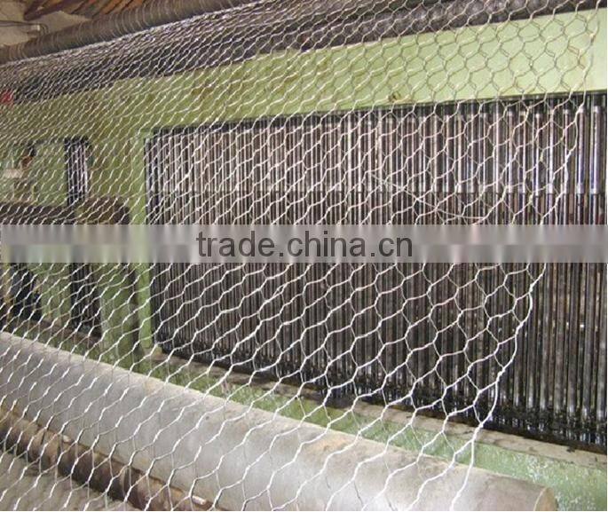 2015 hot sales !! PVC Coated Hexagonal Wire Mesh(Factory)