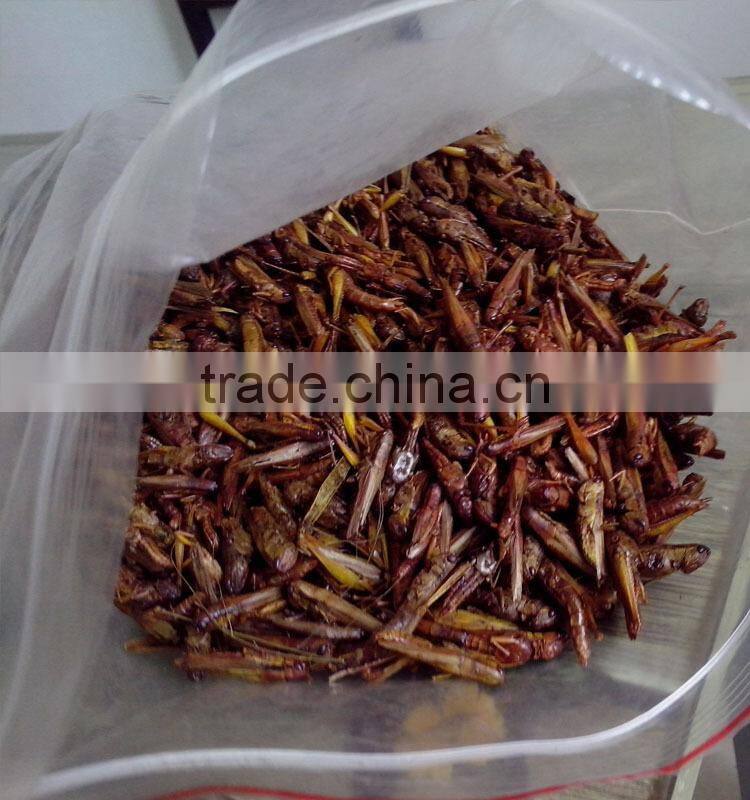 Health food for pet dried grasshopper, bio pet food, goody pet foods
