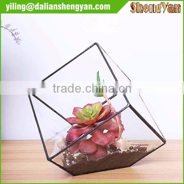 The cube shape planter,geometric glass terrarium