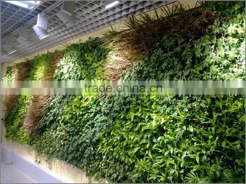 stair wall decorative plants wall