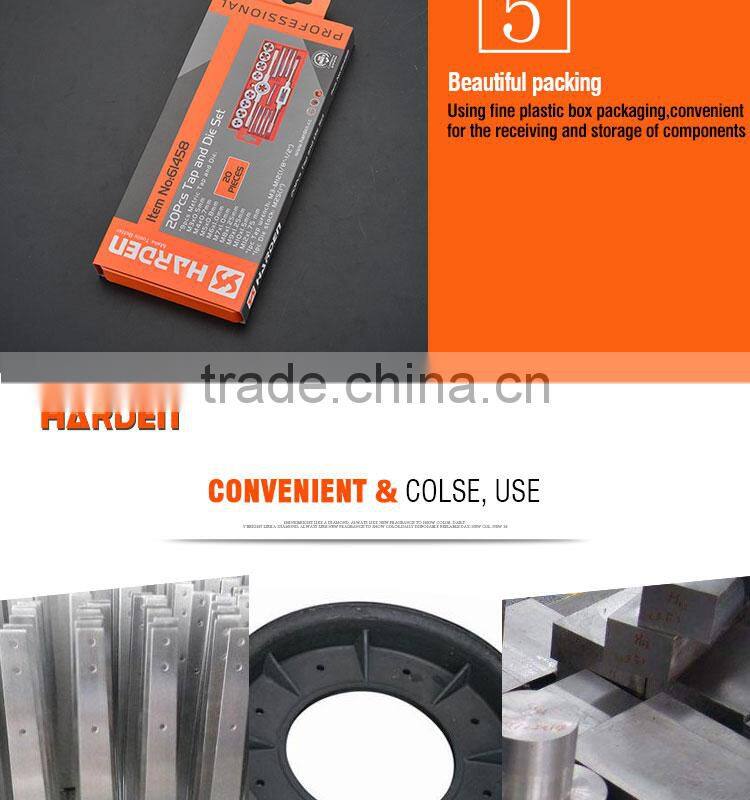 Professional 20PCS Alloy Steel Tap And Die Set