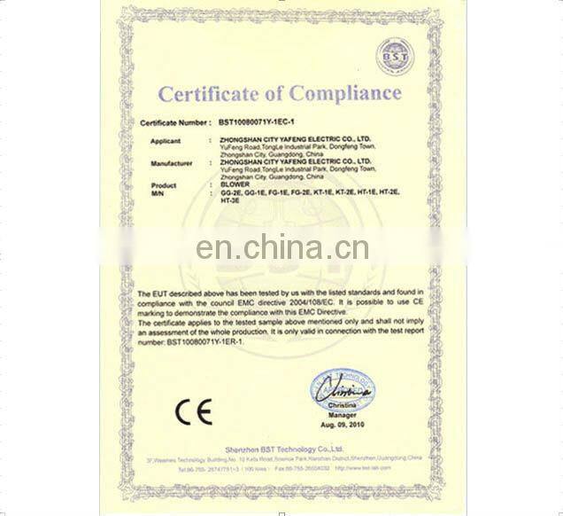 2013 New advertising inflatable costumes for sale