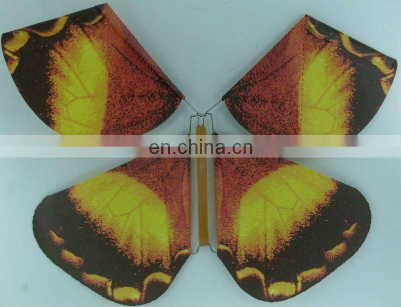 fly surprise butterfly