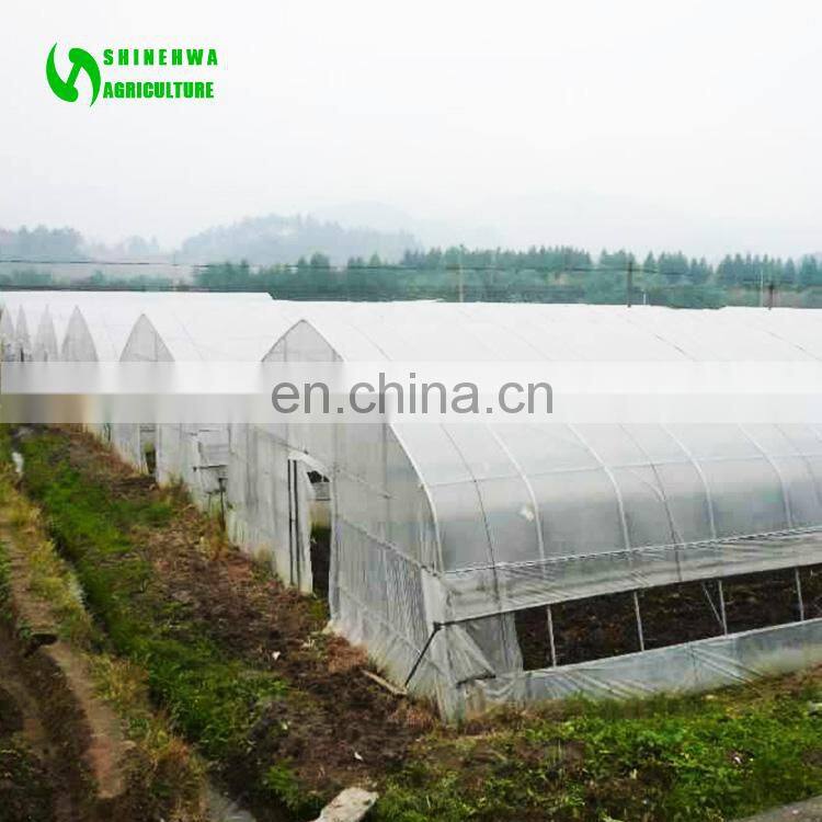Low Cost Mini Greenhouse Used For Sale