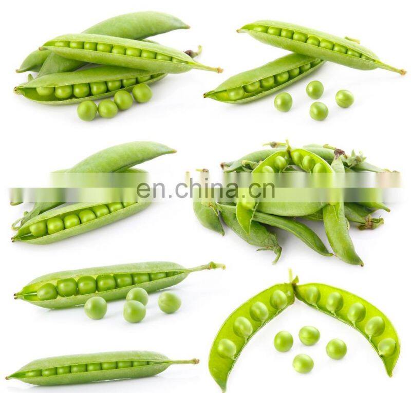 easy operation soybean peeler machine Green bean peeling