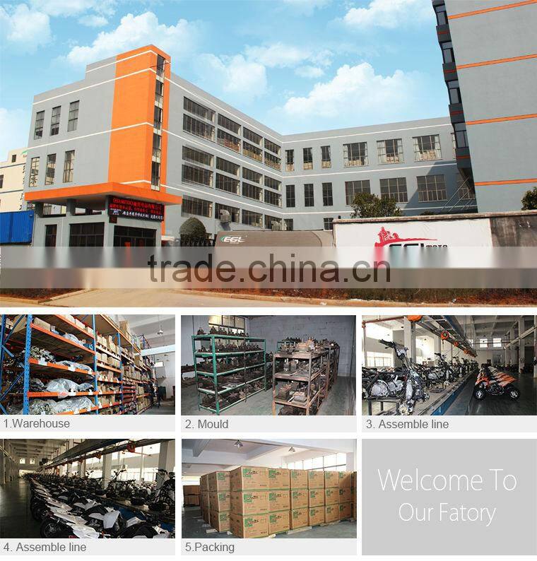 125cc Atv With Reverse Gear From Eglmotor