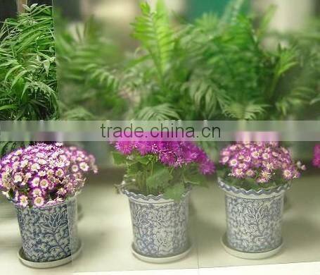 non-glare frame glass/anti-reflective glass