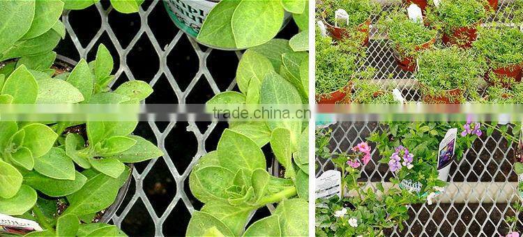 alibaba china PVC& powder coated expanded metal mesh