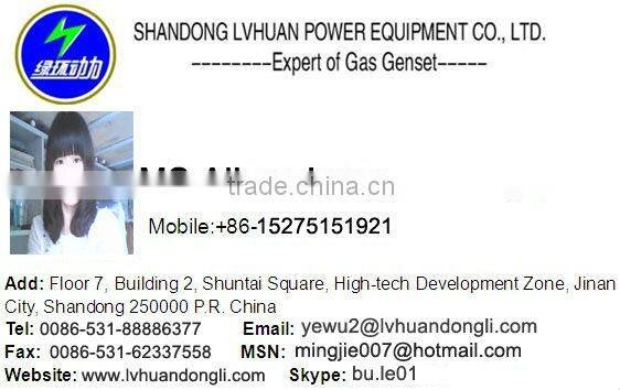 500KW power plant Coal mine gas generating set
