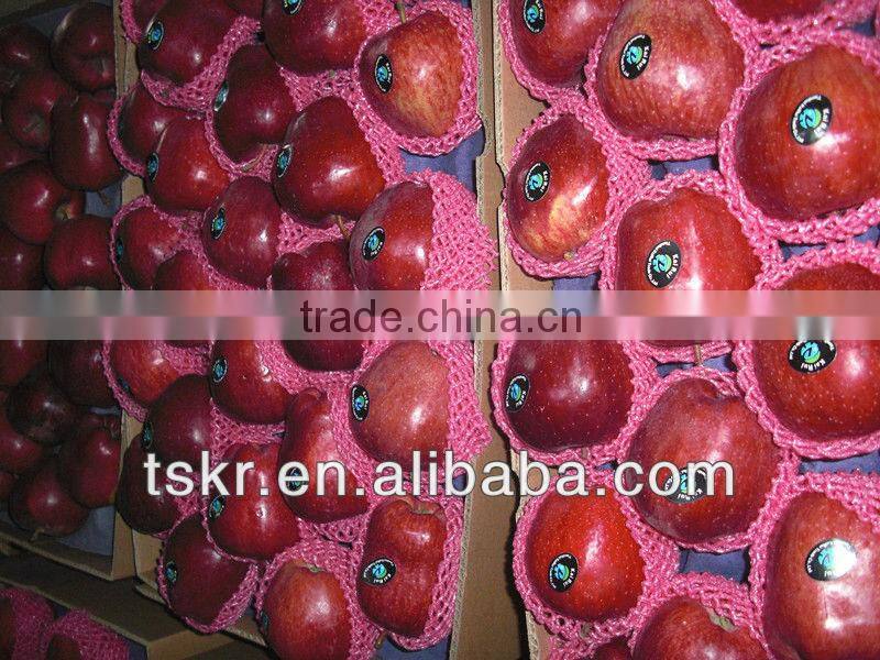 2013fresh appls from china