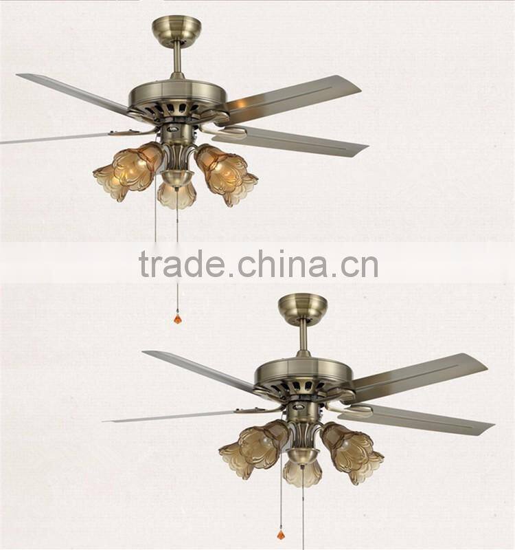 indoor fancy lights with ceiling fans