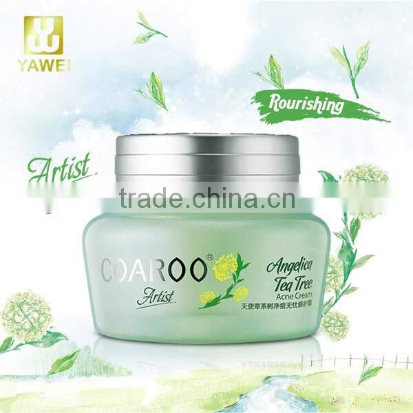 Angelica Tea Tree Acne Series