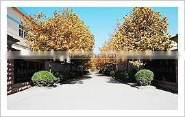 super low cement bottom fire brick refractory clay brick vibration and pouring process brick