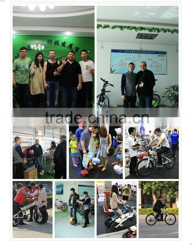 Modern sport style durable electric scooters with two people