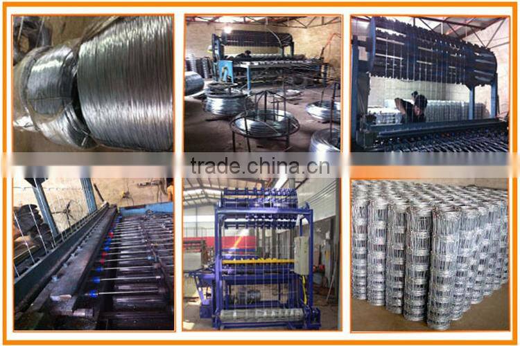 Galvanized fixed knot field fence for goat farm