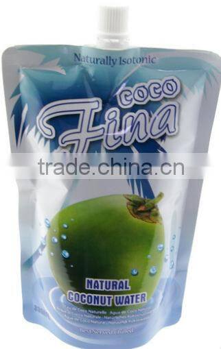 Durable spout pouch/pouch with spout