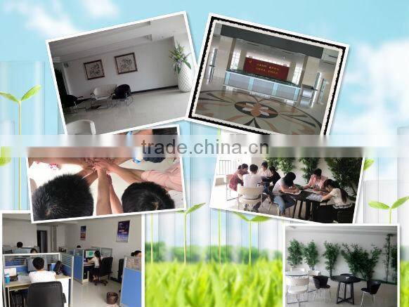 Educational supplies teaching medical survey and bacterial prepared slides