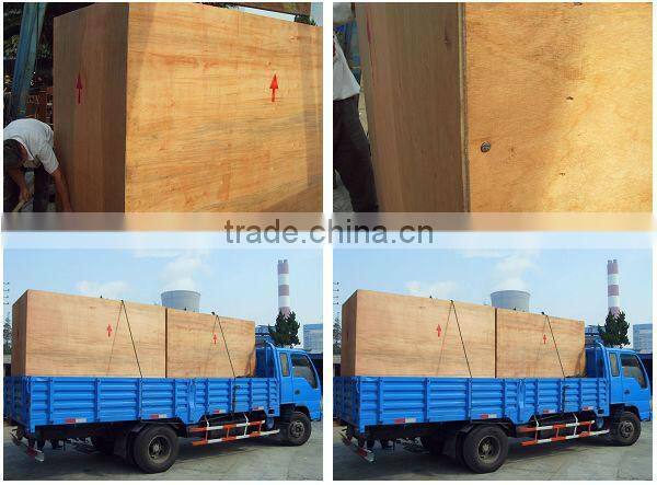 0.5 ton Stationary lift platform (Customizable)