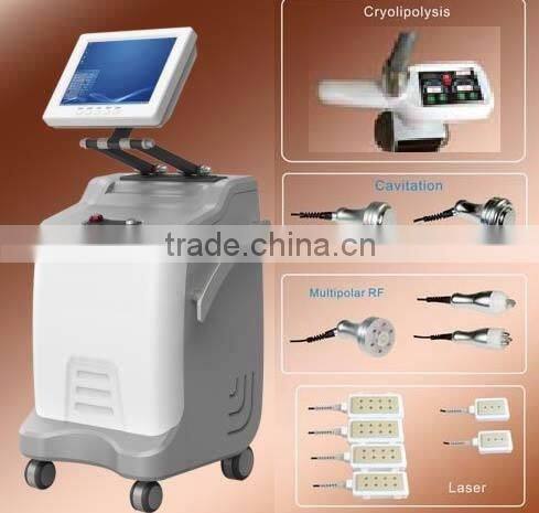 hot-sale Heta H-3009A cryolipolysis slimming machine