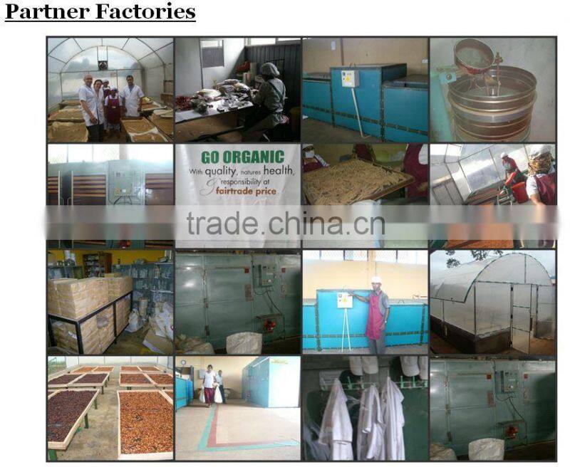 Organic Mango Fruit Bar