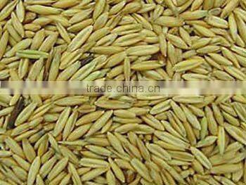 QATS - KILN DRIED HULLED OATS