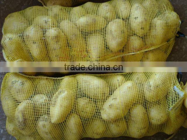 Fresh Holland Potato Bulk on Hot Selling