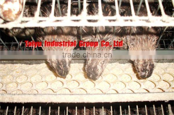 Quail Cage Equipment with all the accessary