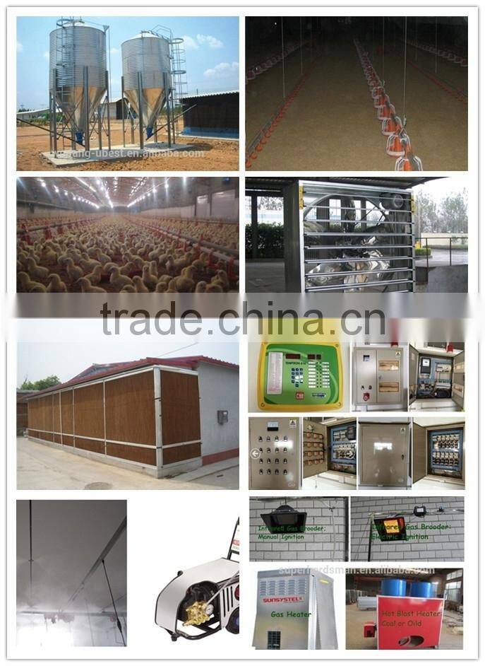 U-Best Breeder Broiler Chicken Farm Poultry Equipment