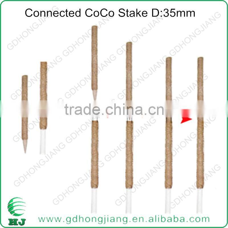 Coir Stake for climbing plant support