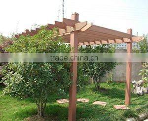 Grape Trellis and