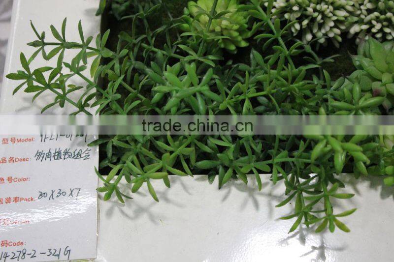 Indoor and Outdoor artificial succulent plants wall new item indoor plant wall