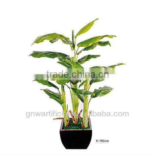 plant and tree nursery green mini plants indoor office GNW G120