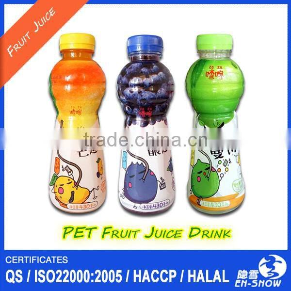 Private Label Fruit Juice Drink in PET bottle