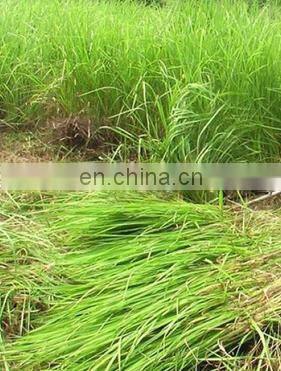 Russia ,Ukraine market ,9GB series tractor pto mower/reciprocating robot lawn mower