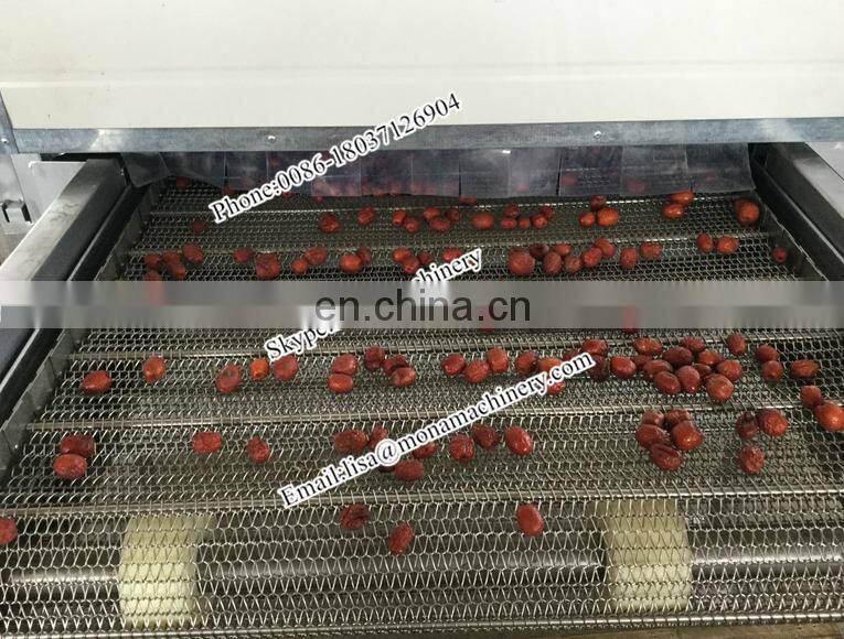 Industrial big model mesh belt drying or dryer machine used for Raisins, dMesh Belt Chain Dryer / Belt Chain Dryer / Chain Dryer