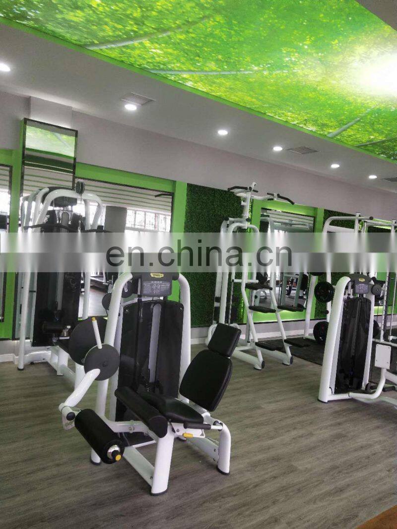 Workout Commercial Gym Equipment Manufacturers/Muscle Building Machine Tire Flip