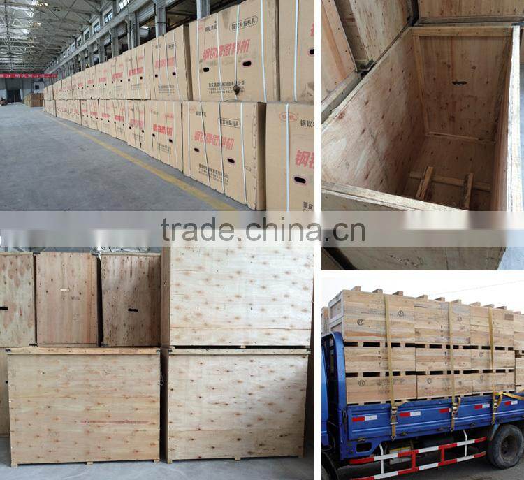 Hot Sale 9 HP Diesel Rotary Tiller For Agricultural Machinery