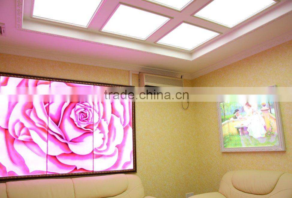 LED ceiling decoration