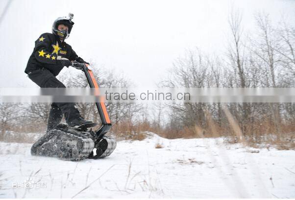 Sunnytimes-Shredder gas scooter 2015