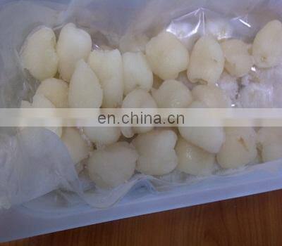 FROZEN RAMBUTAN FRUIT PREMIUM QUALITY VIETNAM