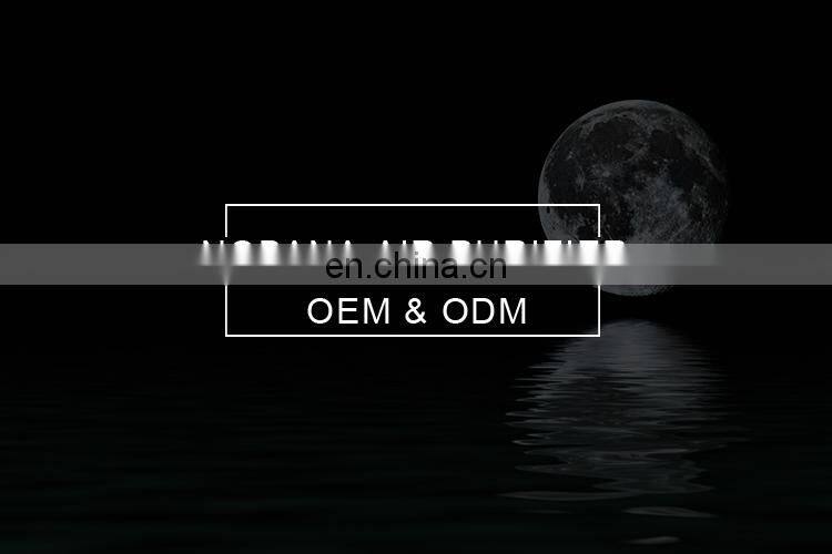 Hot Sale 2019 CE Large Home Ion Heap Air Purifier For Hotel Hospital