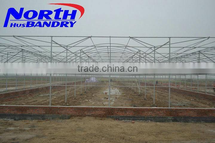 Commercial Greenhouse for agriculture