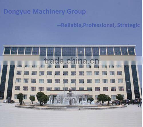 thermal insulated blocks from Chinese manufacturer Dongyue Machinery Group