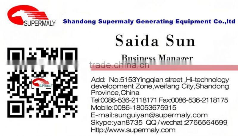 CE Approved gas generator factory