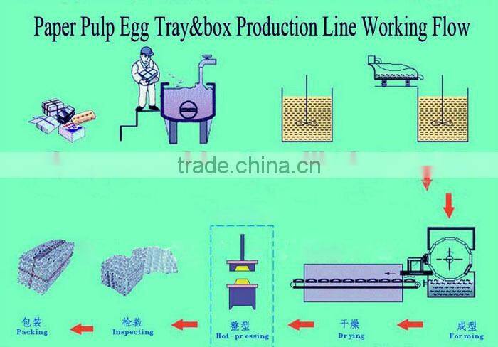 Large Capacity Egg Tray Machine Price For Commercial Use