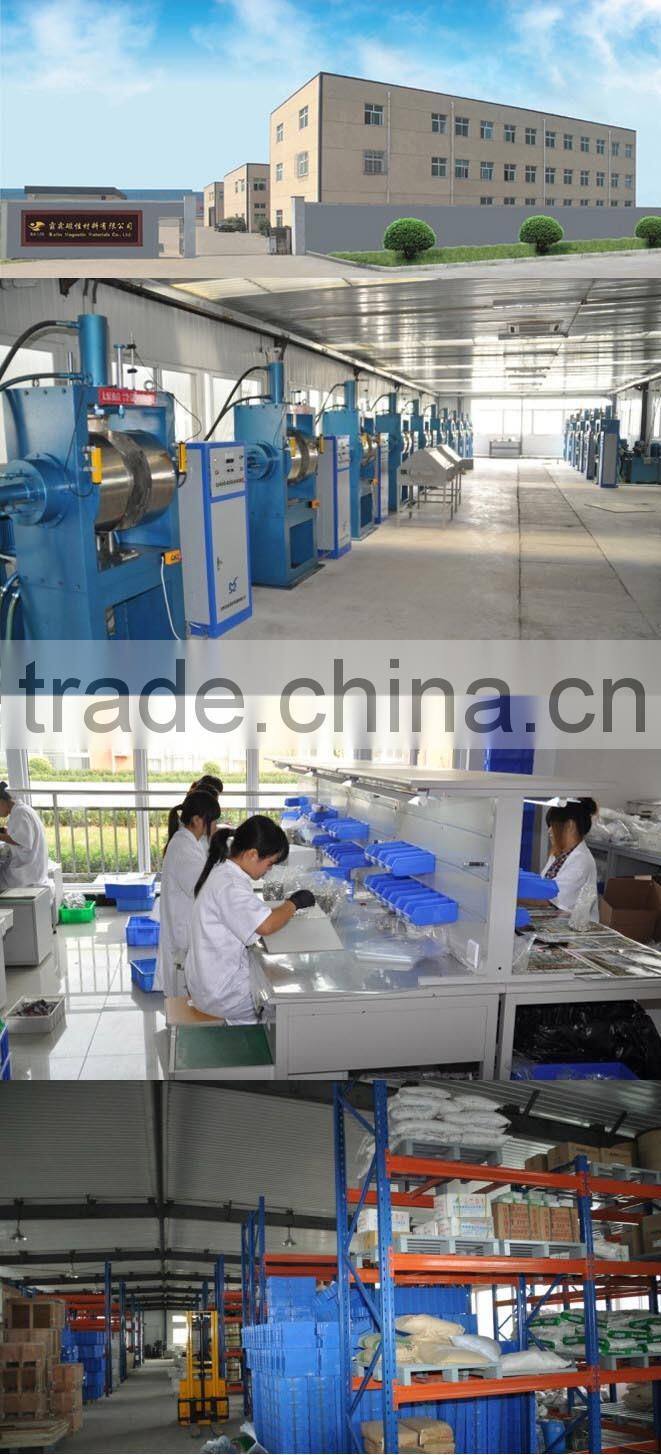 Diametrically magnetized ring magnets