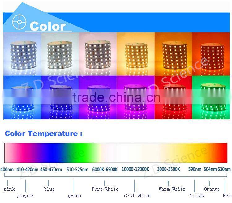 12V Light LED Strip Waterproof Non Waterproof LED Light Swimming Pool Rope Light