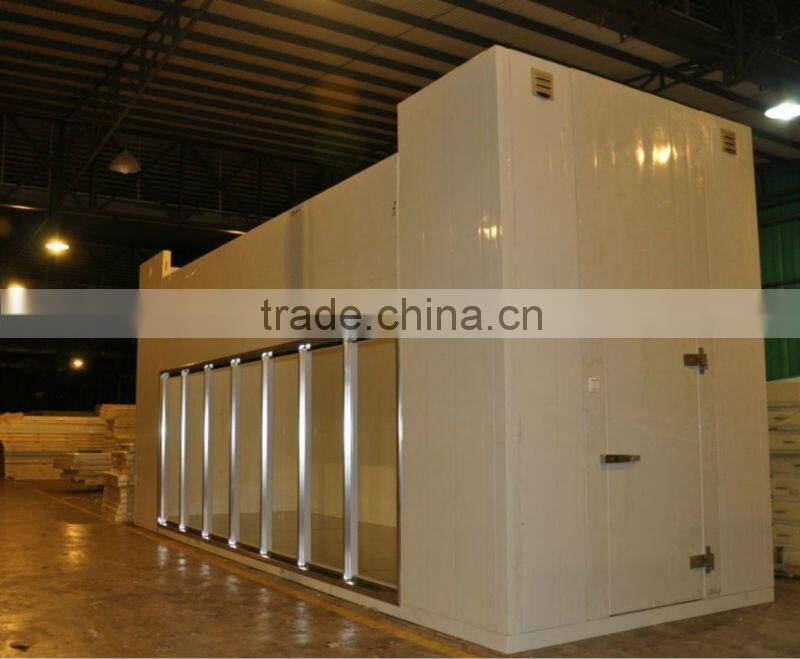 polyurethane insulated glass door freezer storage